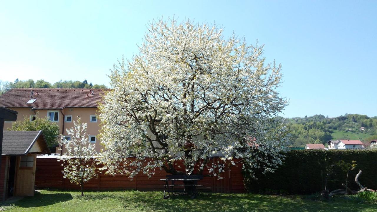 Apartma Golob Zgornja Kungota Zewnętrze zdjęcie